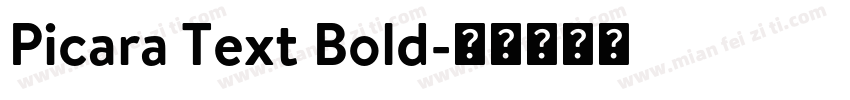 Picara Text Bold字体转换